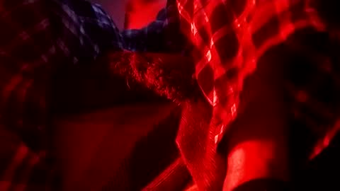 boredaf6678 online show from February 2025 06:32:01 AM