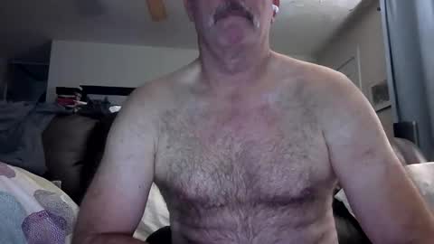 bose36 online show from December 2024 02:01:01 AM