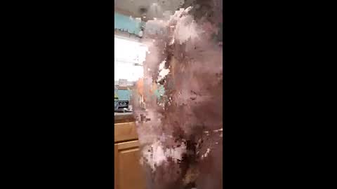 bossusaround online show from January 2026 10:04:01 PM