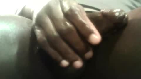 botofogo online show from March 2026 03:31:01 AM