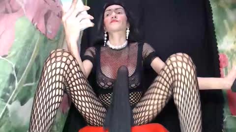 Snapshot of boucinghugehardcock chatting on October 2025 06:31:01 AM A M A N D A MONSTERCOCK online show from October 2025 06:31:01 AM