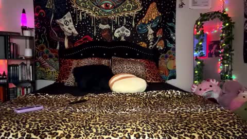 Puddin online show from February 2025 12:37:02 PM