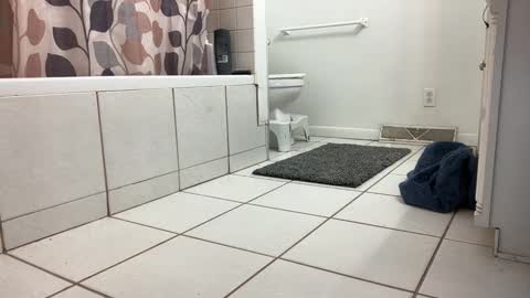 boysetsfire34 online show from January 2025 12:55:02 AM