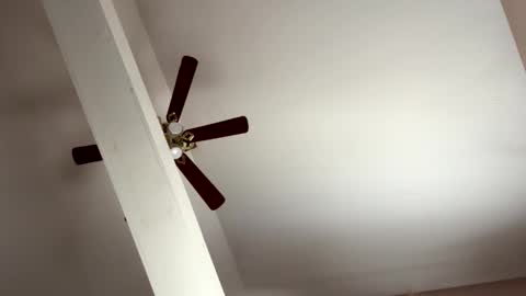 boysetsfire34 online show from November 2025 05:23:02 PM