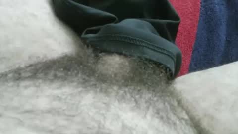 bpllpd online show from January 2026 04:45:02 PM