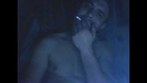 bradynoggle online show from December 2024 03:08:01 AM