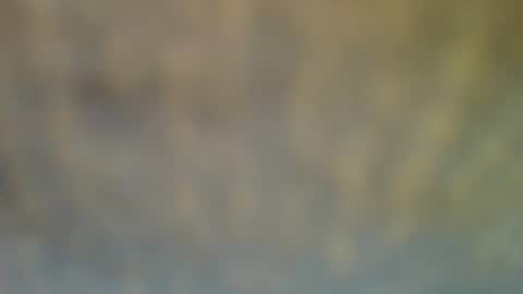 bradynoggle online show from February 2025 06:40:02 PM