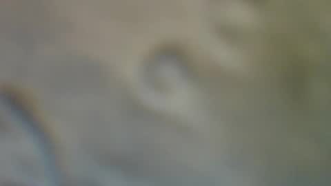 bradynoggle online show from September 2025 02:55:01 AM