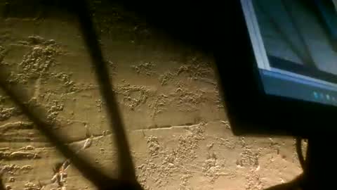 bran391349 online show from February 2026 10:00:01 AM