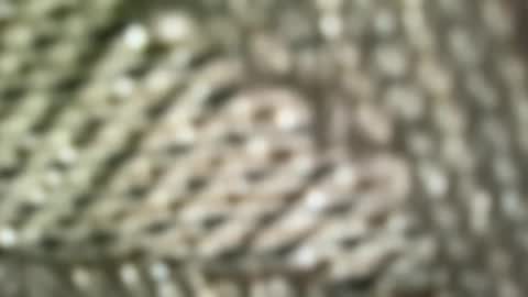 Snapshot of brandonconrad chatting on February 2026 06:44:02 PM brandonconrad online show from February 2026 06:44:02 PM