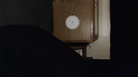 branflakes_ online show from September 2025 02:44:02 AM