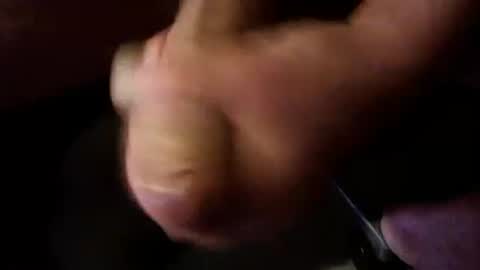 Snapshot of breeder88 chatting on September 2025 10:04:01 PM Breeder online show from September 2025 10:04:01 PM