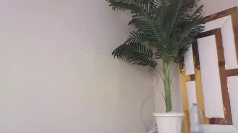 Snapshot of brennan007 chatting on February 2025 08:26:01 PM brennan online show from February 2025 08:26:01 PM