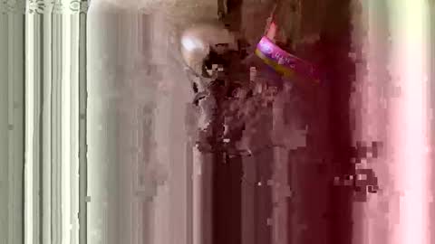 Snapshot of brewfan65 chatting on October 2025 08:49:02 PM brewfan65 online show from October 2025 08:49:02 PM