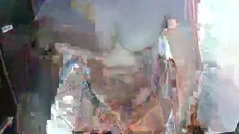 Snapshot of brianaries chatting on January 2026 08:14:01 PM brianaries online show from January 2026 08:14:01 PM