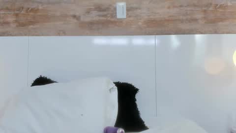 Snapshot of brianna_beltran chatting on April 2026 11:04:01 AM brianna_beltran online show from April 2026 11:04:01 AM