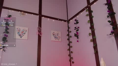 Snapshot of brie_cheese1 chatting on January 2025 07:13:01 PM Brie Ill be away November 2829 and 30. See u on Sunday for more fun online show from January 2025 07:13:01 PM