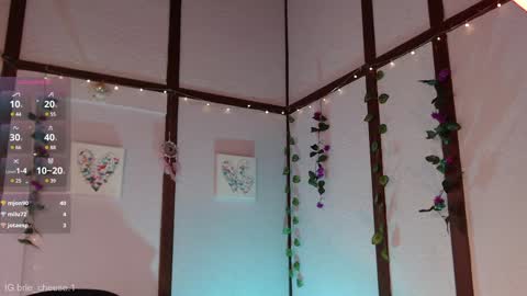 Snapshot of brie_cheese1 chatting on February 2025 08:57:01 PM Brie Ill be away November 2829 and 30. See u on Sunday for more fun online show from February 2025 08:57:01 PM