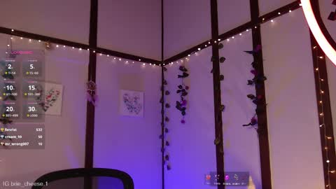 Snapshot of brie_cheese1 chatting on February 2025 08:07:02 PM Brie Ill be away November 2829 and 30. See u on Sunday for more fun online show from February 2025 08:07:02 PM