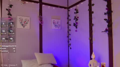 Snapshot of brie_cheese1 chatting on February 2025 08:41:02 PM Brie Ill be away November 2829 and 30. See u on Sunday for more fun online show from February 2025 08:41:02 PM