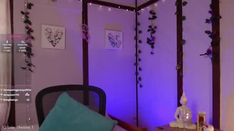 Snapshot of brie_cheese1 chatting on February 2025 08:14:02 PM Brie Ill be away November 2829 and 30. See u on Sunday for more fun online show from February 2025 08:14:02 PM