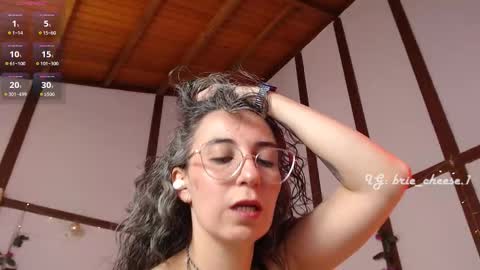 Snapshot of brie_cheese1 chatting on September 2025 04:29:01 PM Brie Ill be away November 2829 and 30. See u on Sunday for more fun online show from September 2025 04:29:01 PM