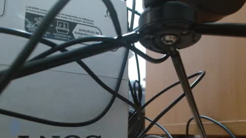 Snapshot of brigittebia777 chatting on October 2025 03:38:01 AM brigittebia777 online show from October 2025 03:38:01 AM