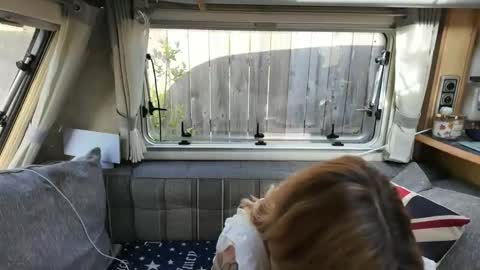 Snapshot of british_rosie chatting on May 2026 08:20:02 AM Want to see more online show from May 2026 08:20:02 AM