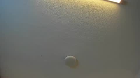 Brittany  online show from September 2025 07:30:02 PM