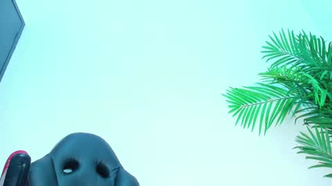 BRIYIT     online show from February 2025 06:32:01 AM