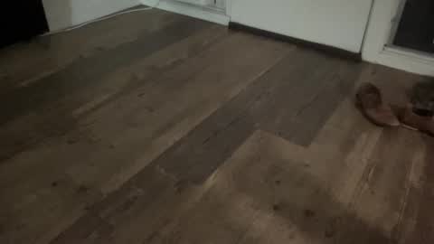 Snapshot of brokehungcollegeguy chatting on February 2026 05:47:01 AM Broke Hung College Guy online show from February 2026 05:47:01 AM