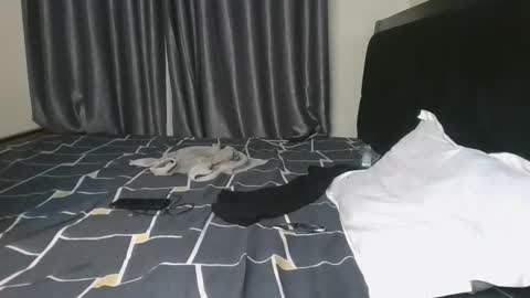 brown_sugar4 online show from November 2025 08:30:02 PM