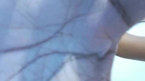 brownguy2505 online show from January 2026 12:53:02 PM