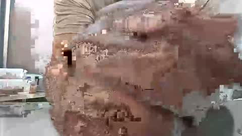 brownskinbull1 online show from June 2026 11:43:02 AM