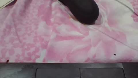 Snapshot of brownwolfie28 chatting on October 2025 02:39:02 PM brownwolfie28 online show from October 2025 02:39:02 PM