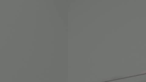 brucebowser online show from April 2026 04:52:01 PM