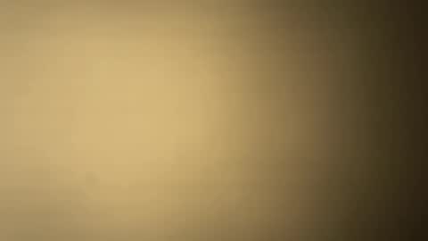 Snapshot of brucedog1983 chatting on December 2024 01:25:01 AM BRUCE online show from December 2024 01:25:01 AM