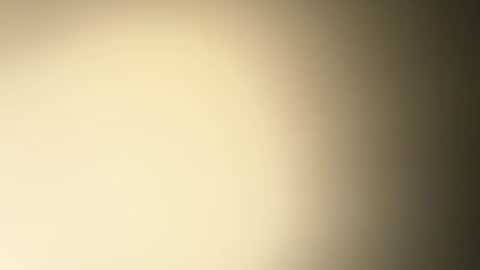 Snapshot of brucedog1983 chatting on December 2024 02:33:02 AM BRUCE online show from December 2024 02:33:02 AM