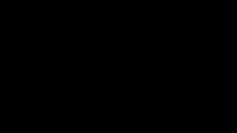 BRUCE online show from May 2026 03:36:02 AM