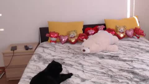 Ellis online show from February 2026 07:02:01 AM