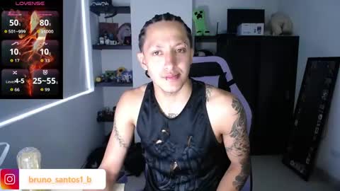 Snapshot of bruno_santos1 chatting on May 2026 02:27:02 PM Bruno online show from May 2026 02:27:02 PM