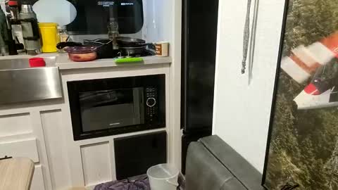 Snapshot of brushsquach chatting on February 2025 06:28:01 AM Steve... aka SkinnieDippin aka TimberTramp online show from February 2025 06:28:01 AM