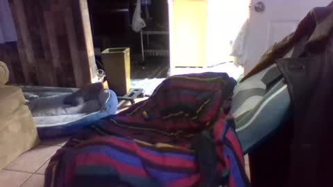 Snapshot of brutal3anddone chatting on October 2025 05:14:02 PM brutal3anddone online show from October 2025 05:14:02 PM