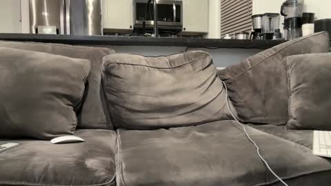 Snapshot of brwm2013 chatting on January 2025 03:07:01 AM brwm2013 online show from January 2025 03:07:01 AM