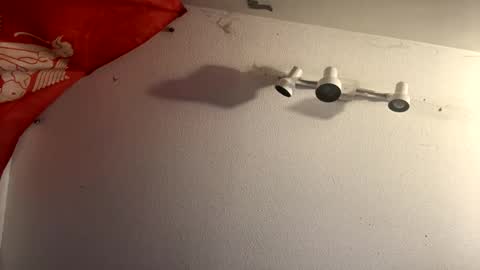 buckoykang online show from February 2025 09:45:01 AM