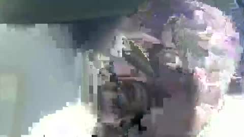 Snapshot of buddyboy51 chatting on February 2026 04:53:02 AM Casey online show from February 2026 04:53:02 AM