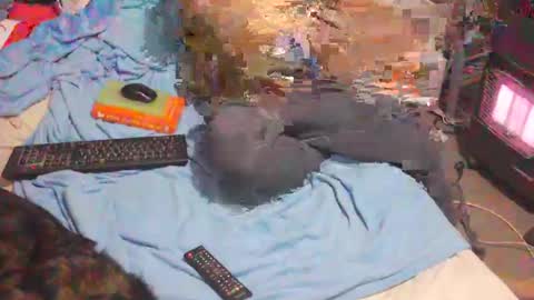 bufu21 online show from February 2025 09:56:01 PM