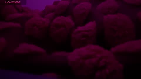 Snapshot of bukkakebae chatting on November 2025 12:30:01 AM bukkakebae online show from November 2025 12:30:01 AM