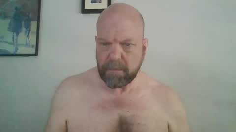 bulldog302w online show from June 2026 02:23:01 PM