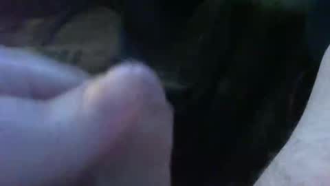 bullemoe online show from September 2025 05:23:02 AM